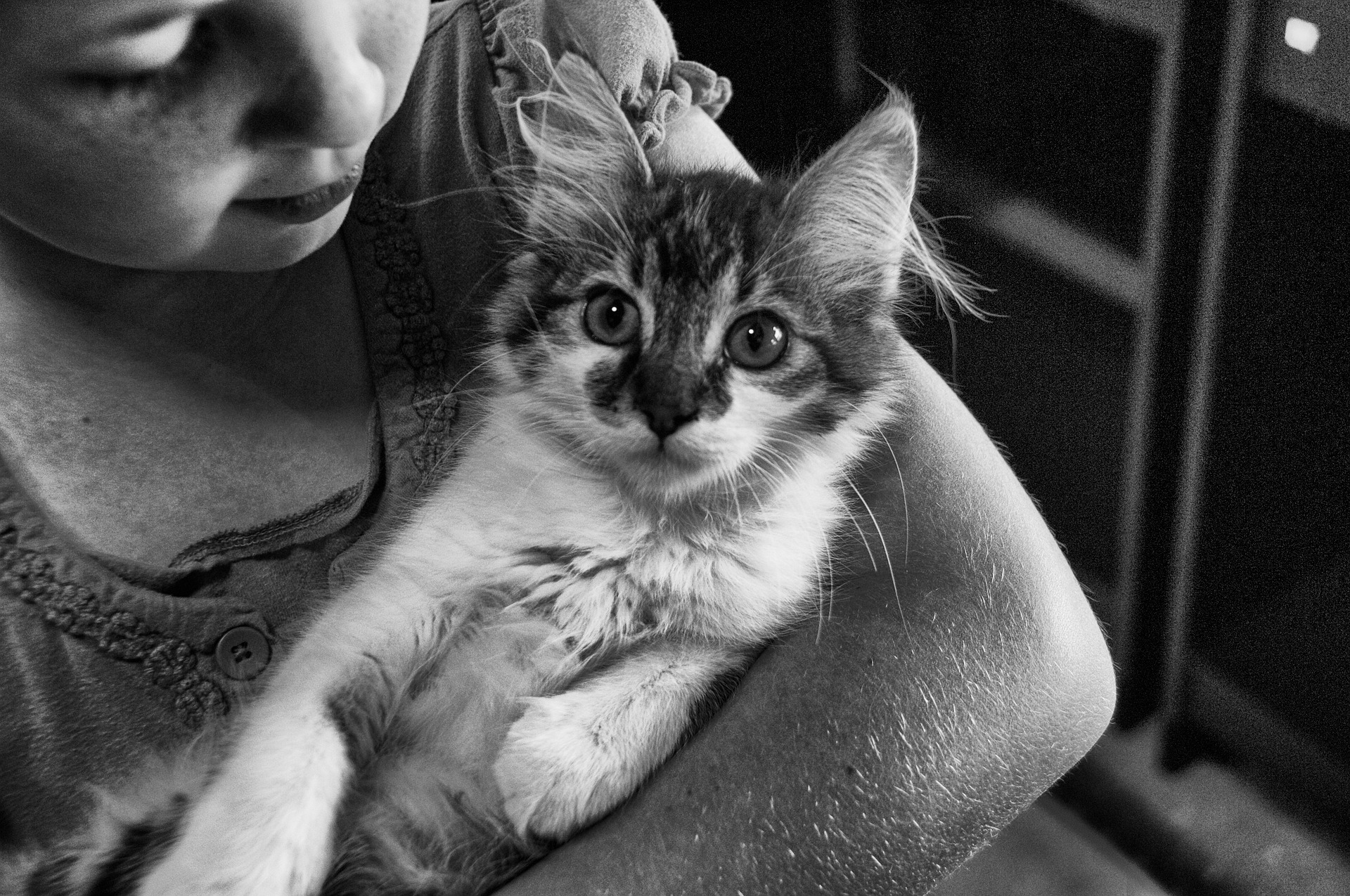 Kind mit Katze.jpg